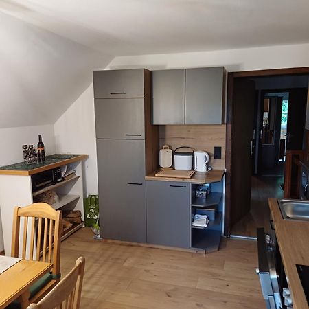 Appartement Steiner Schladming Exterior foto