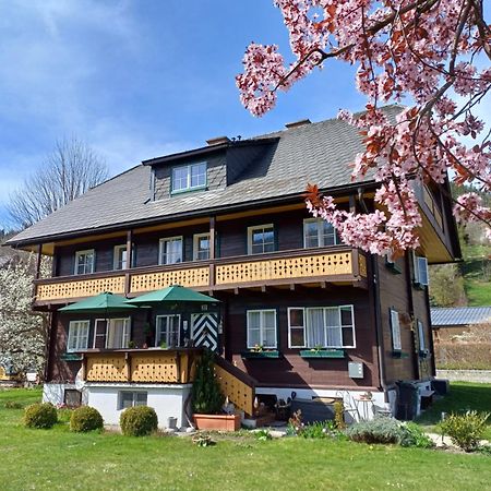Appartement Steiner Schladming Exterior foto