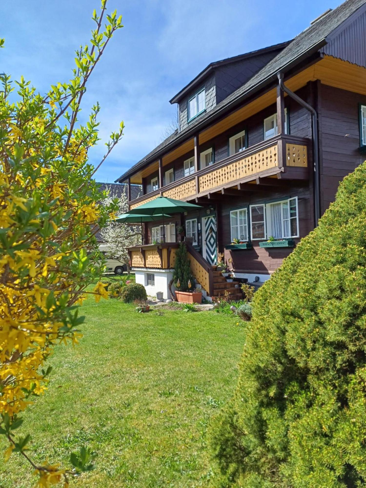 Appartement Steiner Schladming Exterior foto